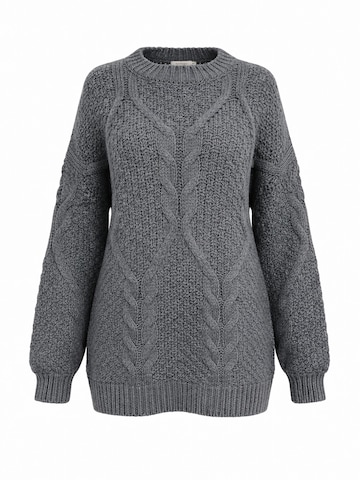 Worldclassca Sweater in Grey: front