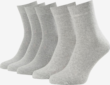 Albert Schäfer Socken in Grau: Vorderseite