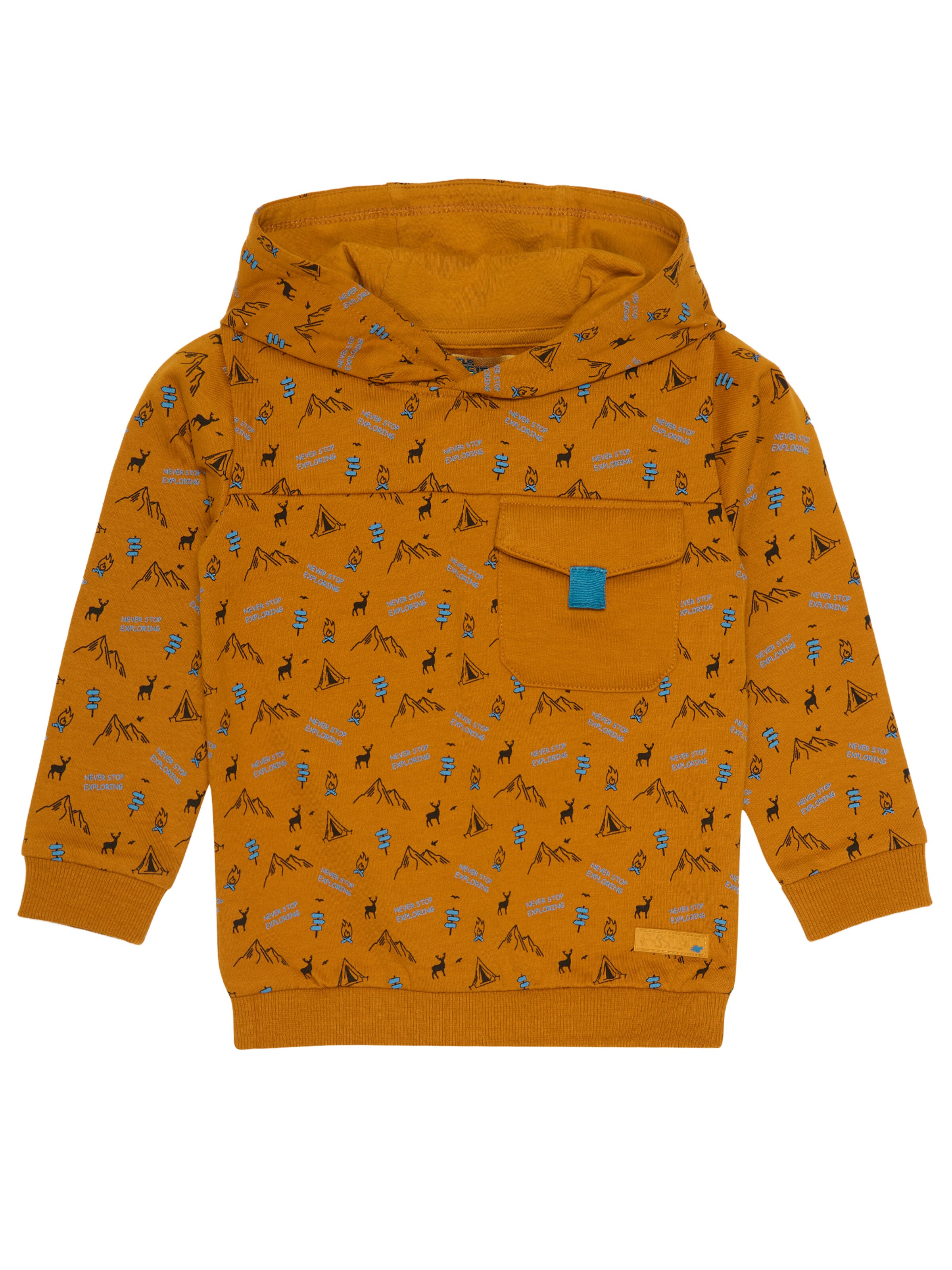 4PRESIDENT Pullover 'Boaz'‌‌‌‌‌‌‌‌ in Orange: Vorderseite