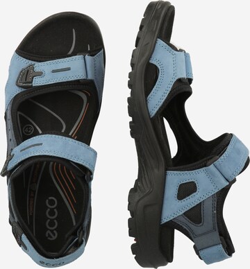 ECCO Hiking Sandals 'Offroad' in Blue