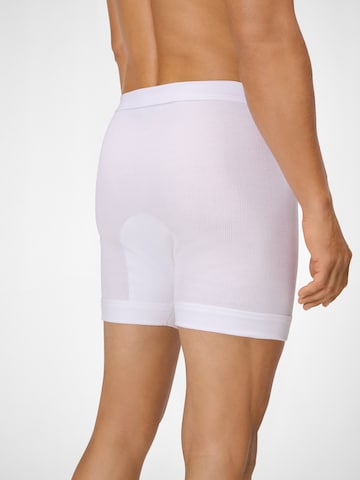 Boxers ' Organic Doppelripp ' Ammann en blanc