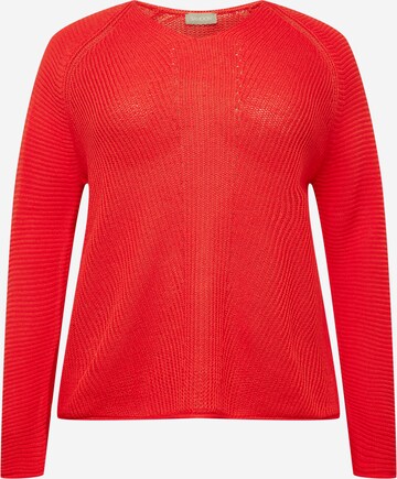 SAMOON Sweater in Red: front