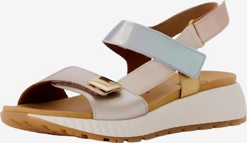 GABOR Sandaal in Roze: voorkant