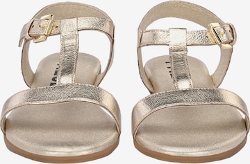 FREUDE Sandalen met riem 'Alea' in Goud