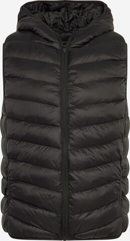 Coupe regular Gilet BRAVE SOUL en noir : devant