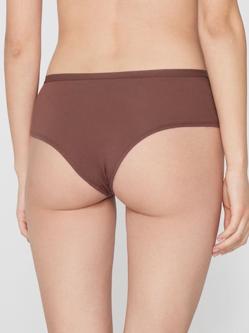 Tezenis Panty in Brown