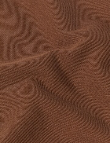 MAMMUT Pullover in Braun