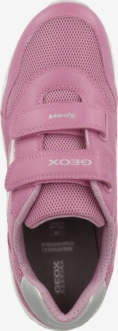 GEOX Sneaker 'Pavel' in Pink