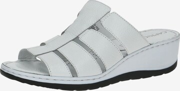 CAPRICE Mules in White: front