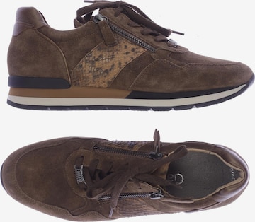 GABOR Sneakers & Trainers in 39,5 in Brown: front