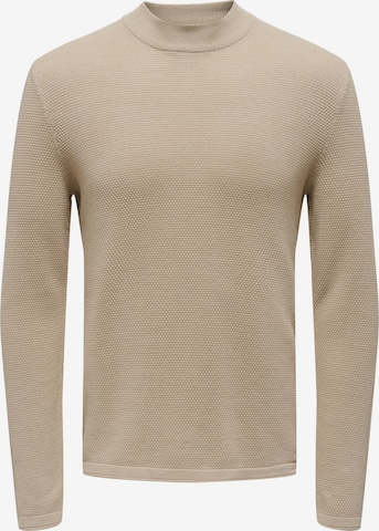 Only & Sons - Pullover 'PANTER' em bege: frente