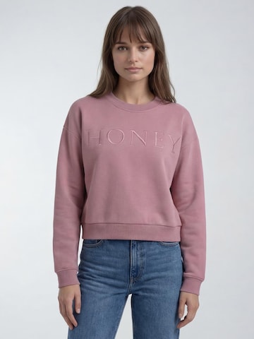 antargo Sweatshirt in Purple