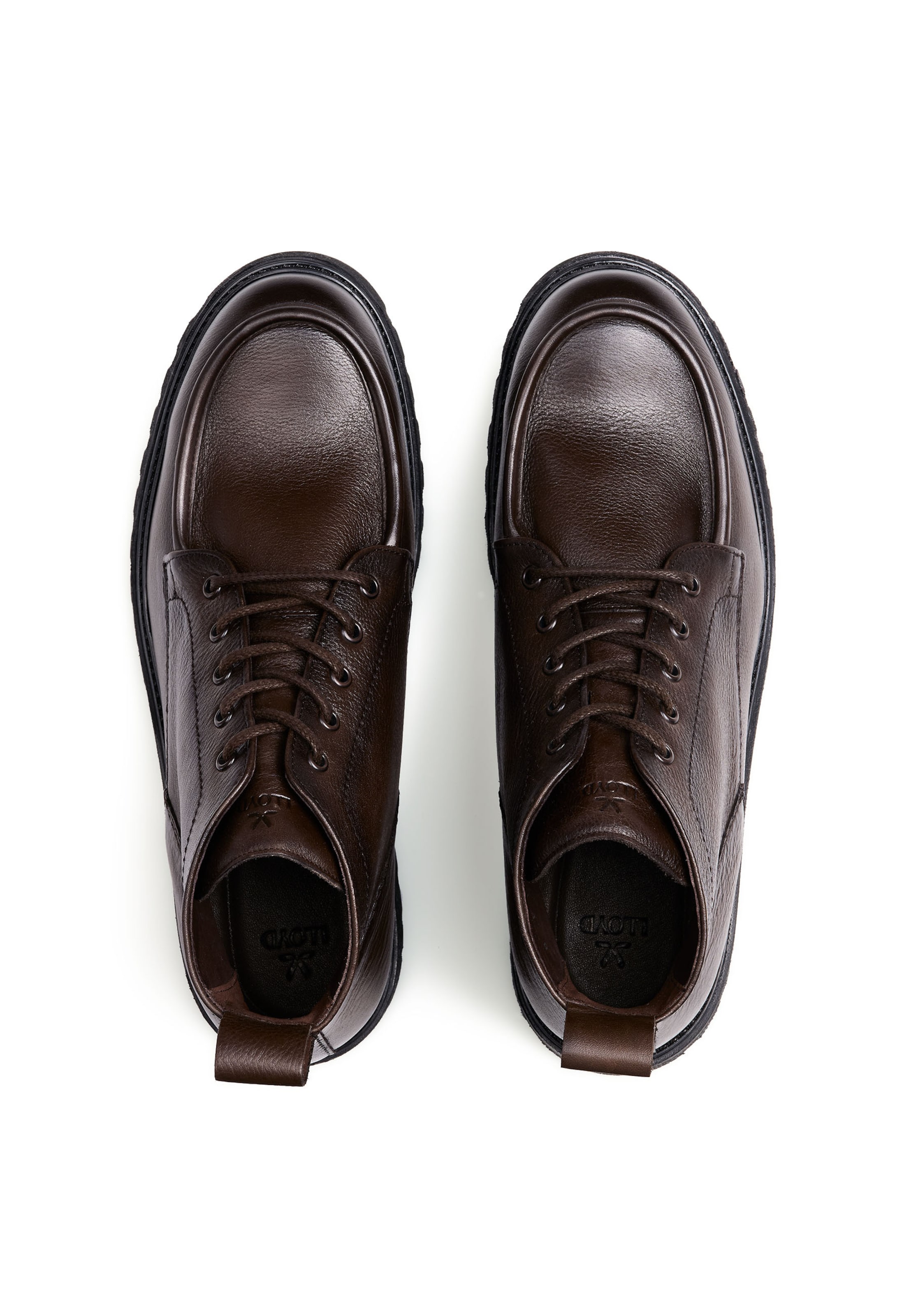 LLOYD Laarzen in Bruin