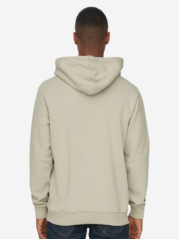 Only & Sons Sweatshirt 'Ceres' in Beige