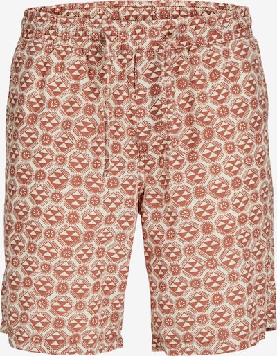 Pantaloni 'AIDEN LUKE' JACK & JONES di colore rosso ruggine / bianco, Visualizzazione prodotti