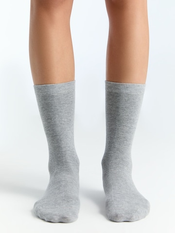 Albero Natur Socks 'Classic' in Grey