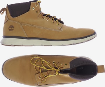 TIMBERLAND Sneakers & Trainers in 46 in Beige: front