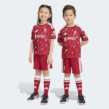 ADIDAS PERFORMANCE - Comfort Fit Fato de treino 'FC Liverpool 26/27' em vermelho: frente