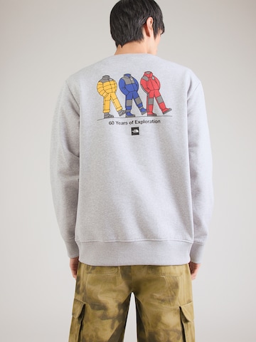 THE NORTH FACE Bluzka sportowa 'CELEBRATION' w kolorze szary: przód