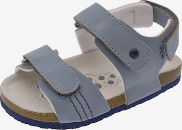 Chicco Avonaiset kengät 'Fioretto' värissä sininen: etupuoli