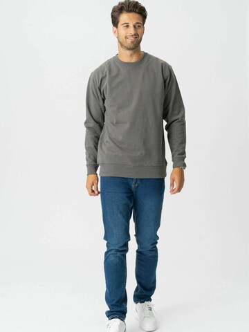 TEESHOPPEN Pullover ' Sweatshirt ' i grå