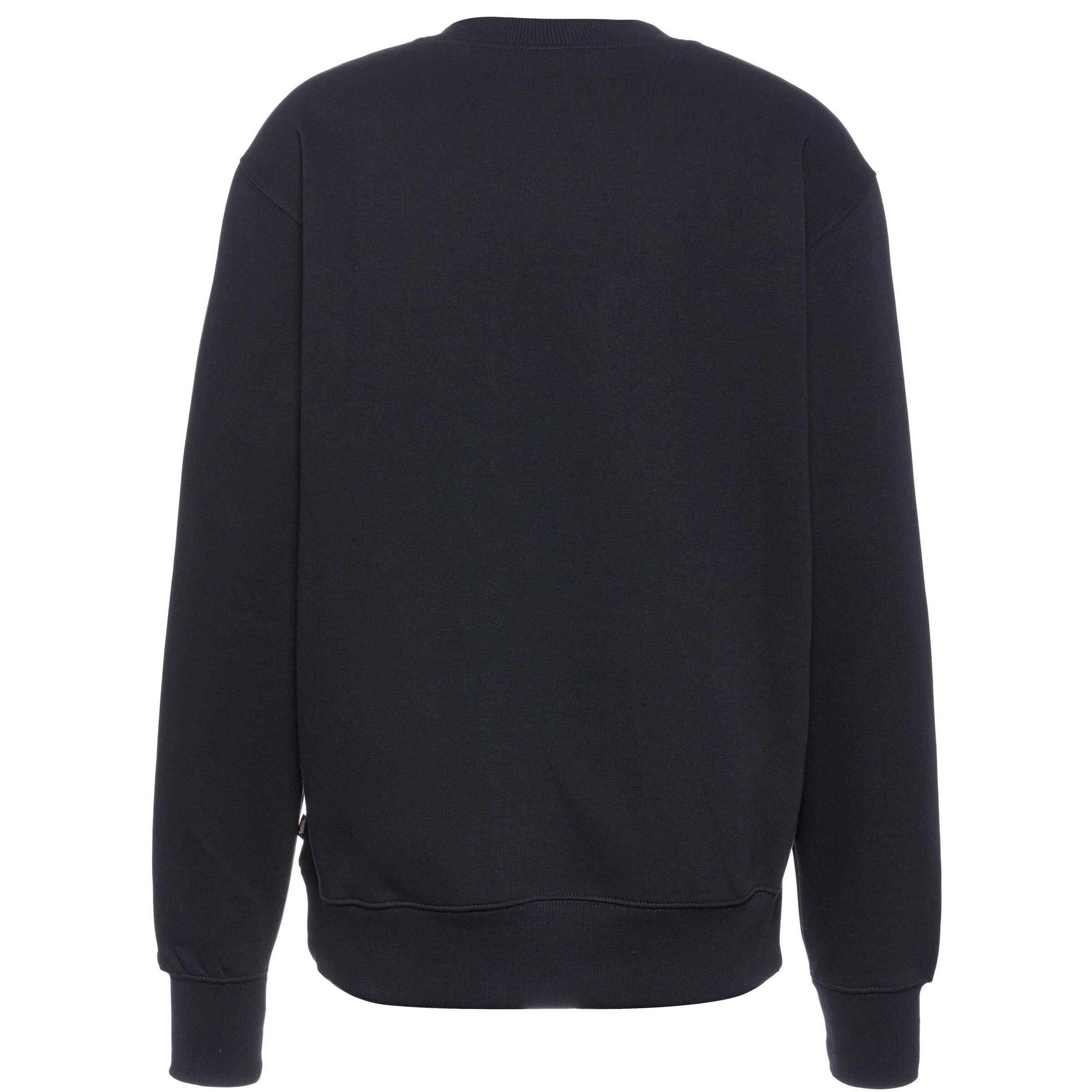 DICKIES Sweatshirt 'Summerdale' in Black