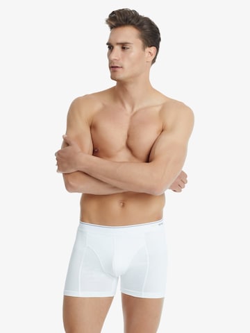 Blackspade Board shorts in White: front