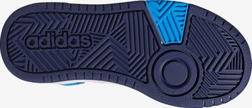 ADIDAS ORIGINALS Sneaker 'Hoops 3.0' in Blau