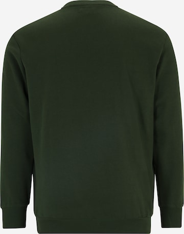 Jack & Jones Plus Sweatshirt 'MIKK' i grøn