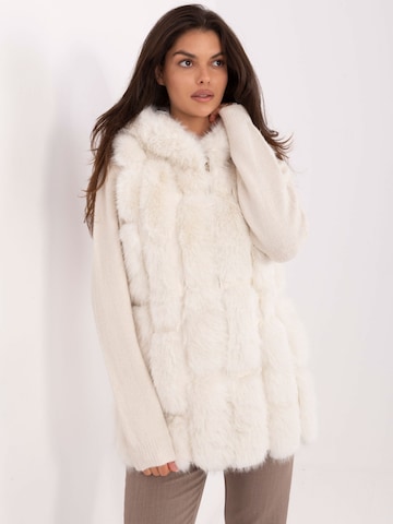 Madnezz House Weste in Beige: Vorderseite