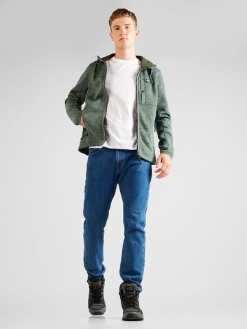 ICEPEAK Funktionsfleecejacke 'AGRAN' in Grün