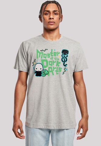 Maglietta 'Harry Potter Voldemort Dark Arts' di F4NT4STIC in grigio: frontale