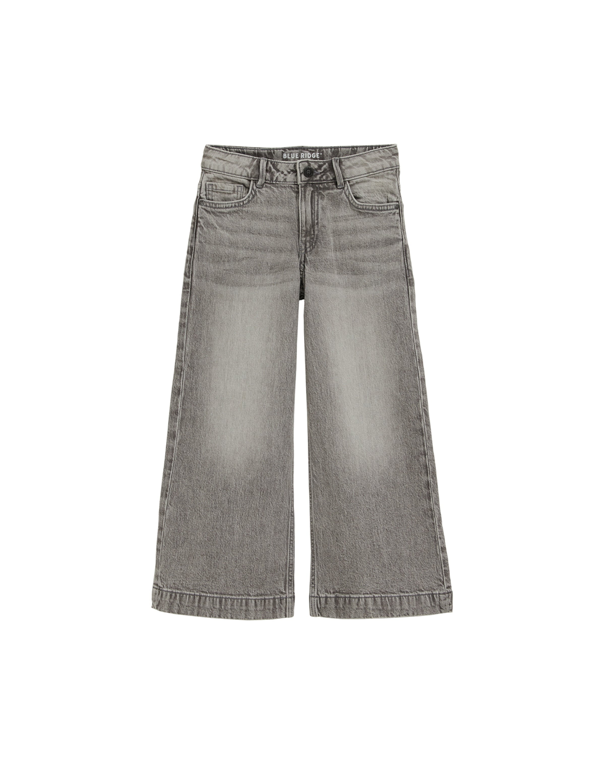 Wide Leg Jean WE Fashion en gris : devant