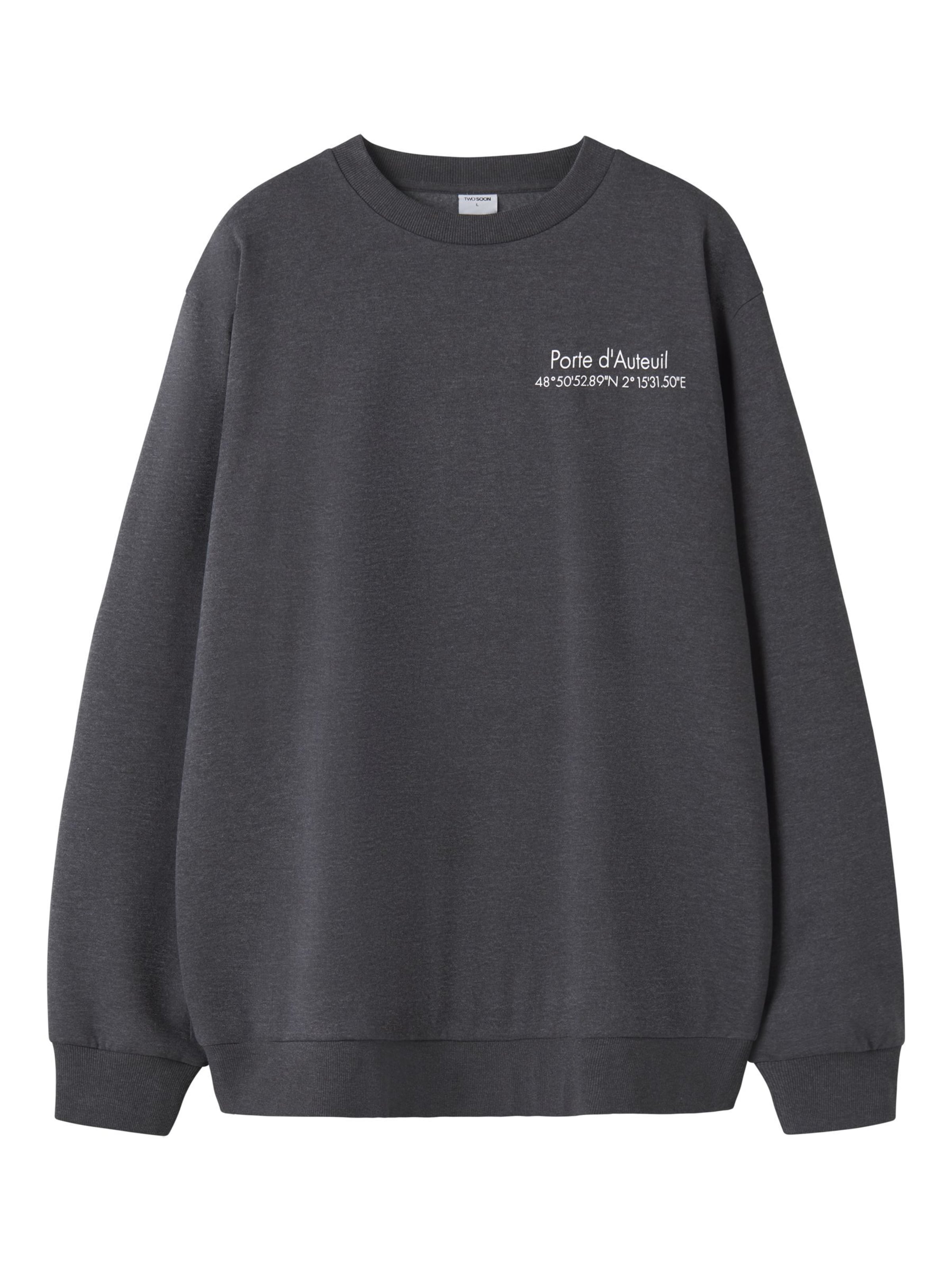 TWO SOON Sweatshirt i grå: forside