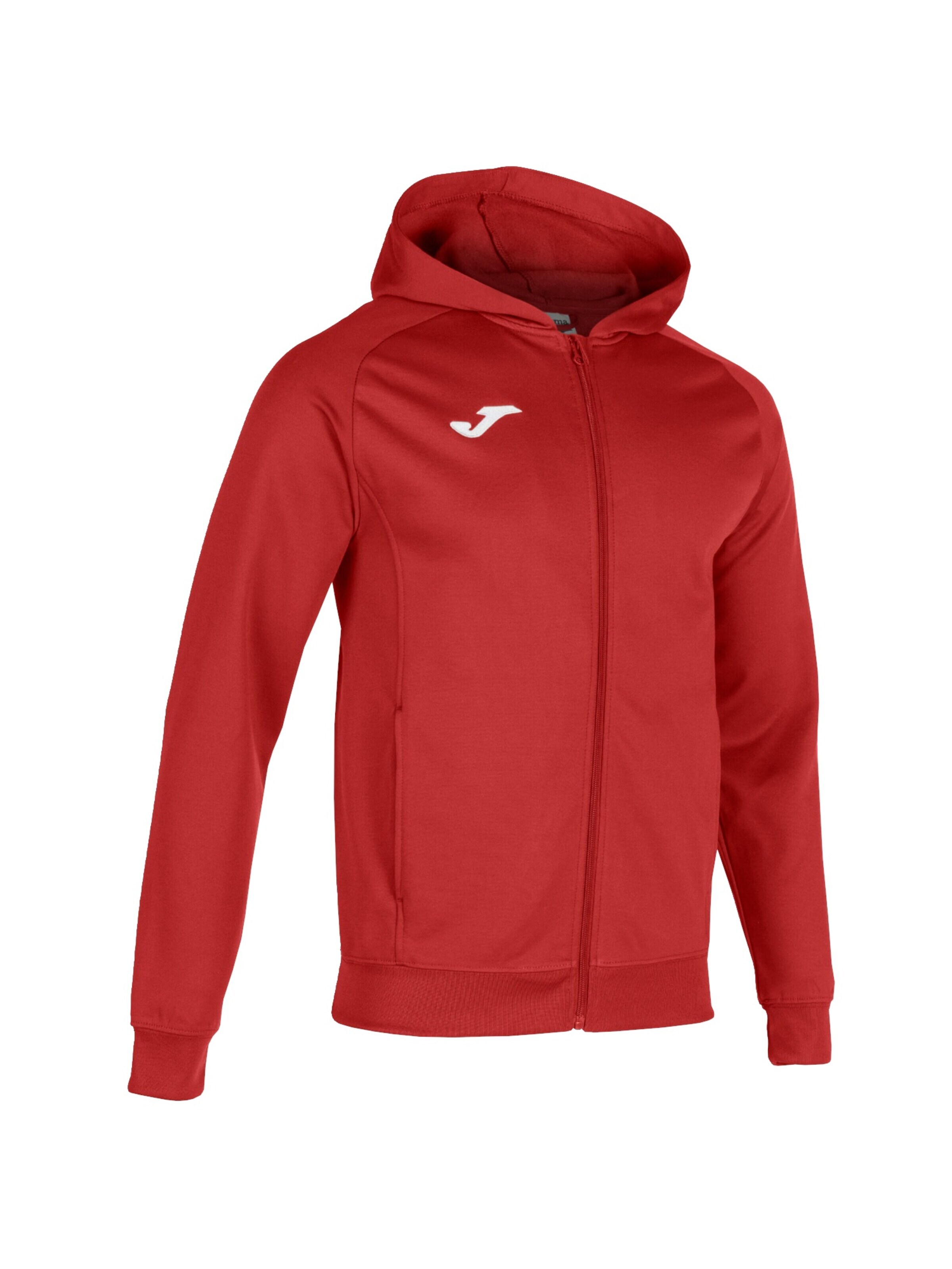 JOMA Sweatshirt 'Joma Menfis Hoodie' in Red: front