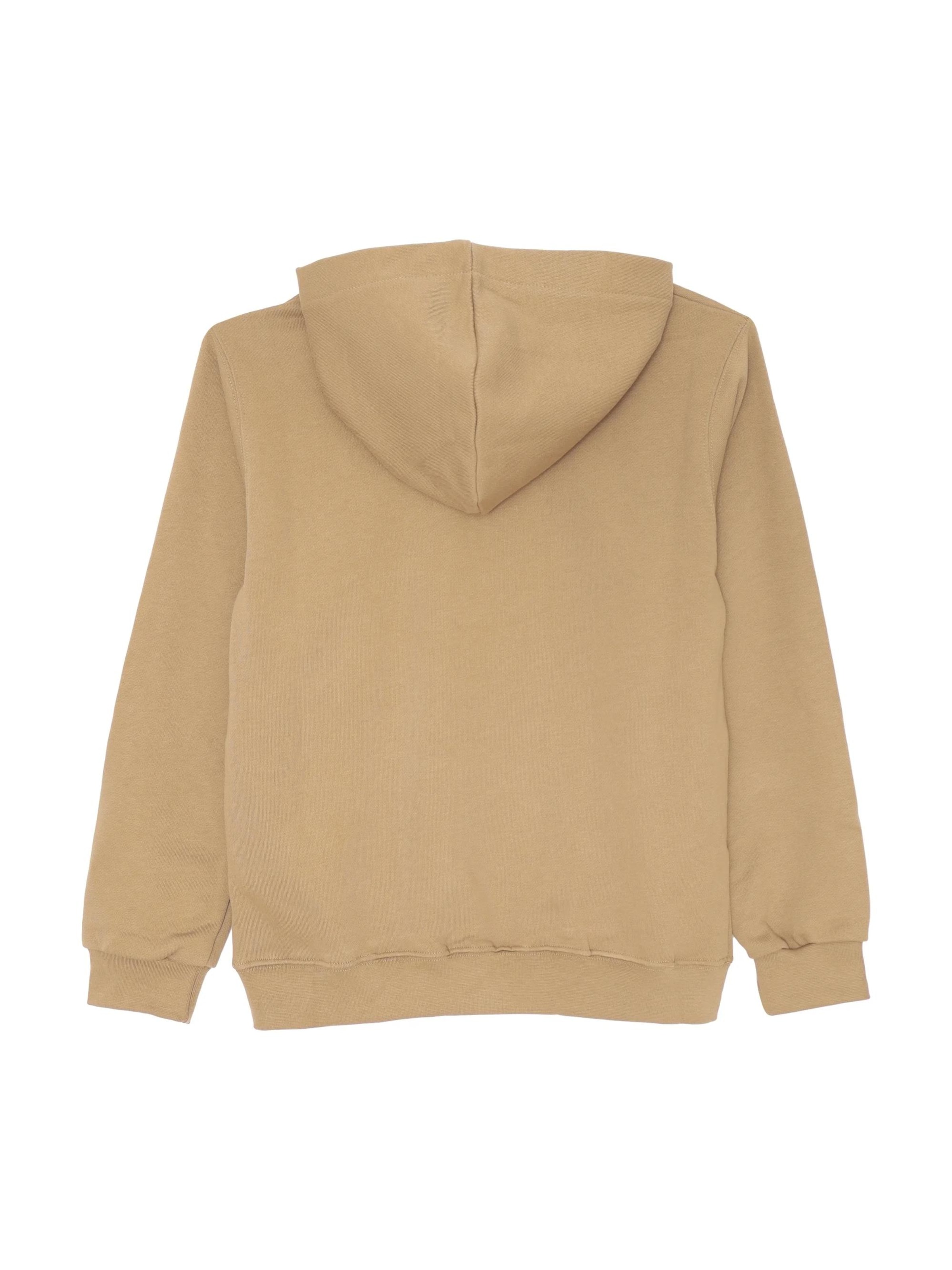 DISCLAIMER Sweatshirt 'Graffiti' in Beige