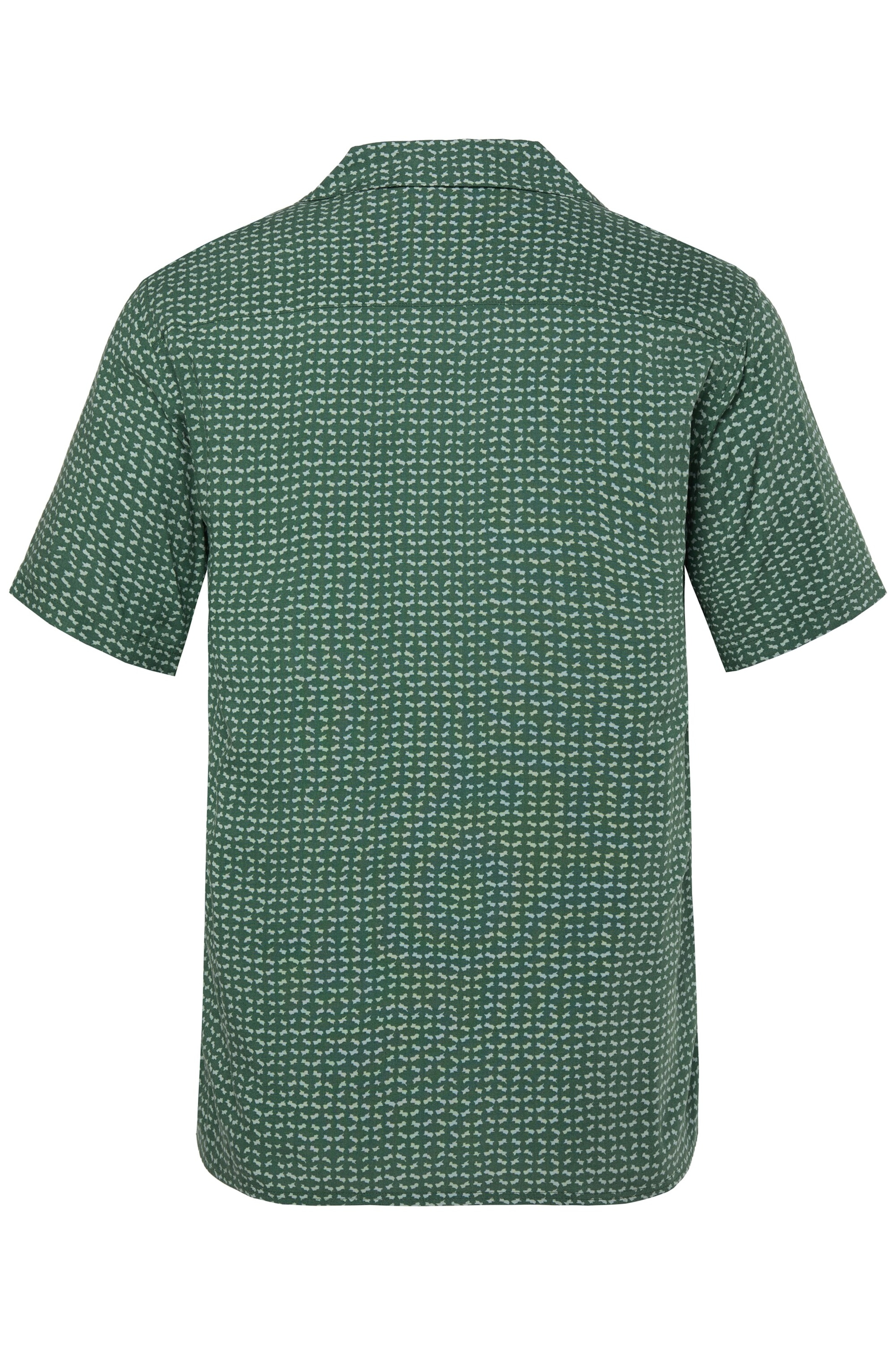 Men Plus Regular Fit Hemd in Grün