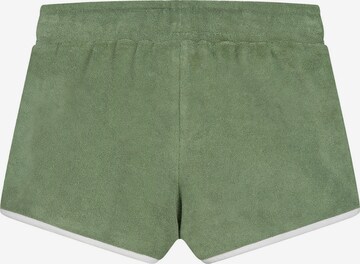 regular Pantaloni di Shiwi in verde