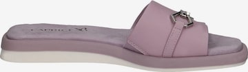 Mule CAPRICE en violet