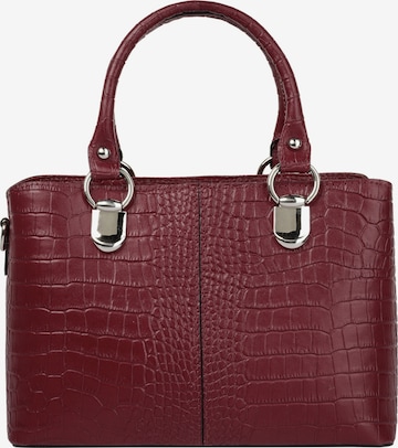 Cluty Crossbody Bag in Red: front
