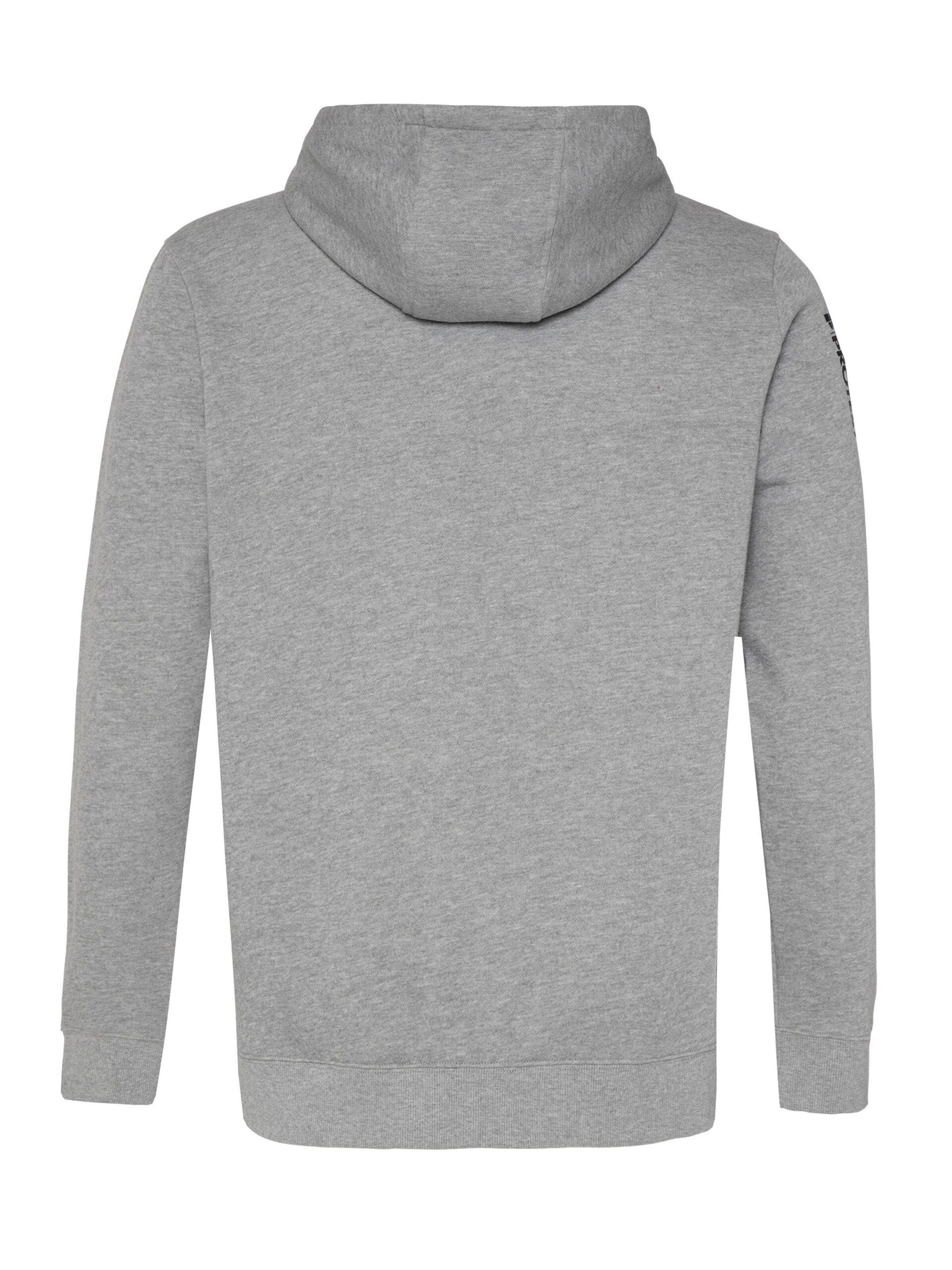 PROTEST Sweater 'CLASSIC LOGO HOODY' in Grey