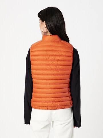 SAVE THE DUCK Vest 'CHARLOTTE' i orange
