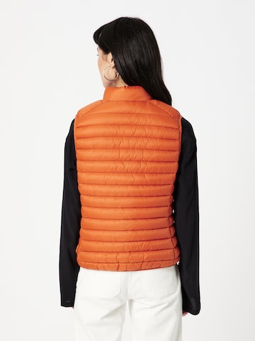 SAVE THE DUCK Vest 'CHARLOTTE' in Orange