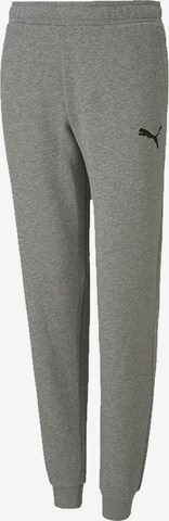 PUMA Tapered Hose 'TeamGOAL 23' in Grau: predná strana