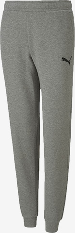 PUMA Tapered Workout Pants 'TeamGOAL 23' in Grey: front