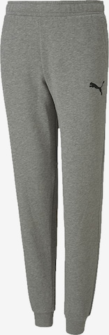 PUMA Tapered Sportbroek 'TeamGOAL 23' in Grijs: voorkant