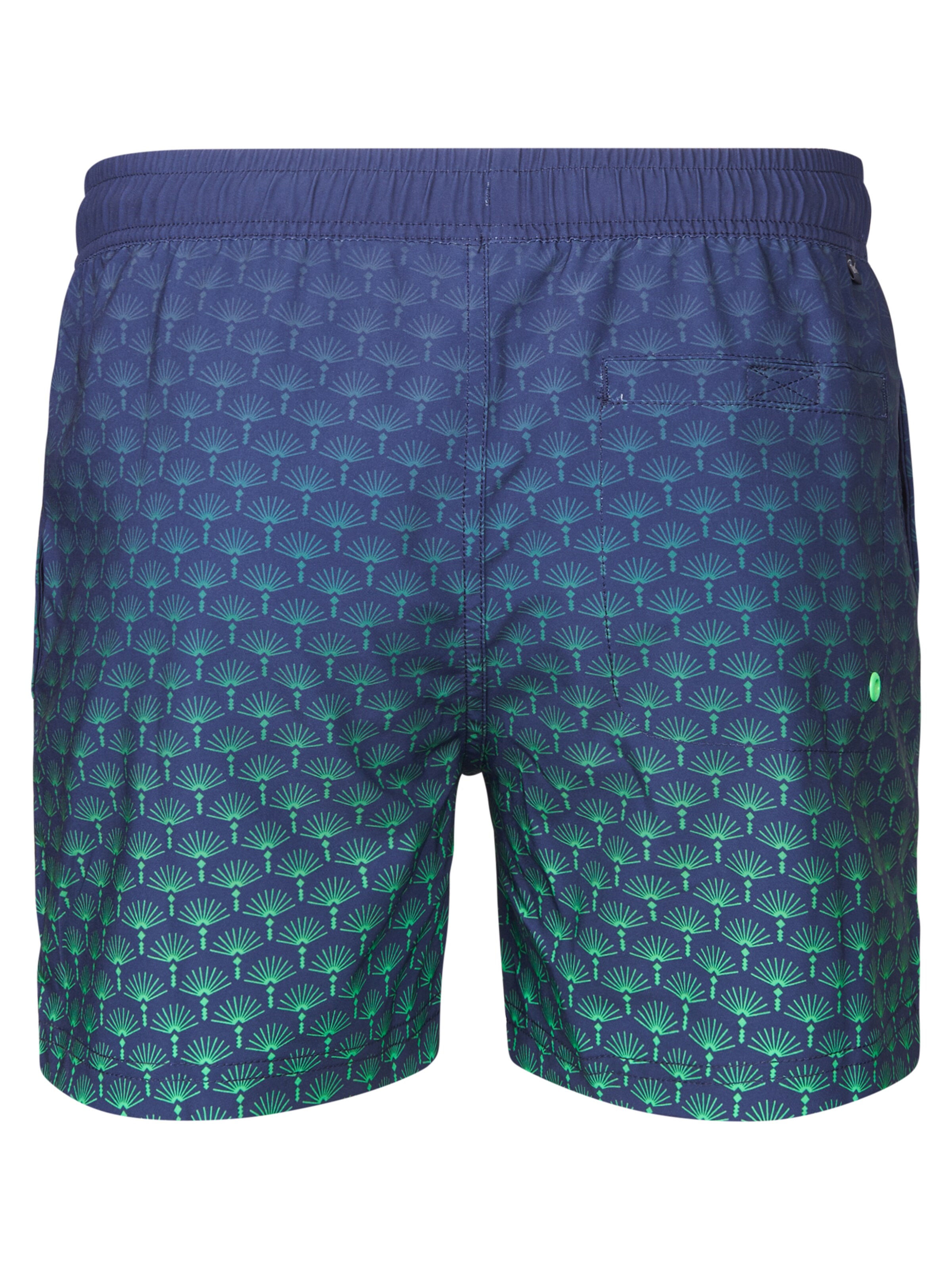 Shorts de bain 'Surfpoint' Petrol Industries en bleu