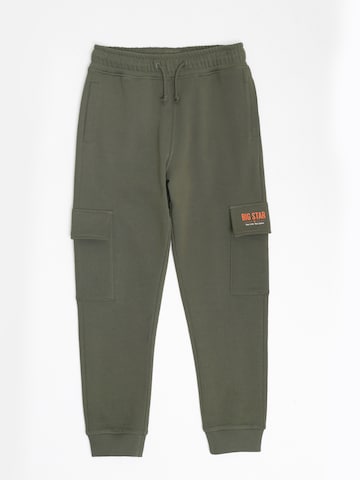 BIG STAR Regular Pants 'WALDO' in Green: front