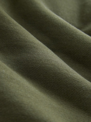 Next Sweatjacke in Grün