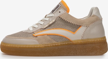 Sneaker bassa 'Fygi' di Floris van Bommel in beige: frontale